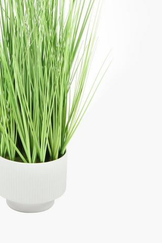 Grass In Ribbed Pot, 12x50cm