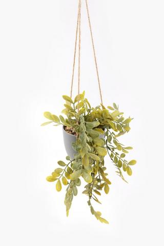 Hanging Flat Leaf, 11x10cm