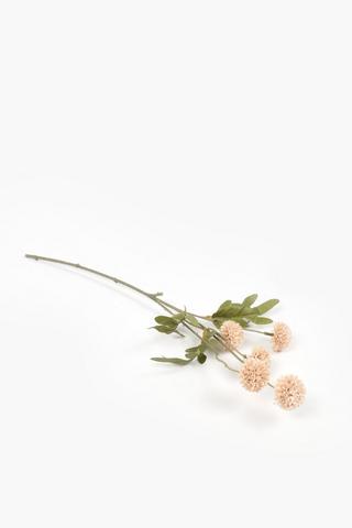 Dandy Single Stem, 52cm