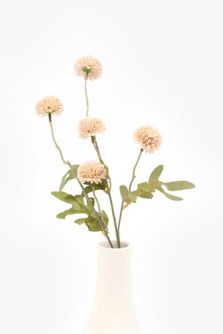 Dandy Single Stem, 52cm