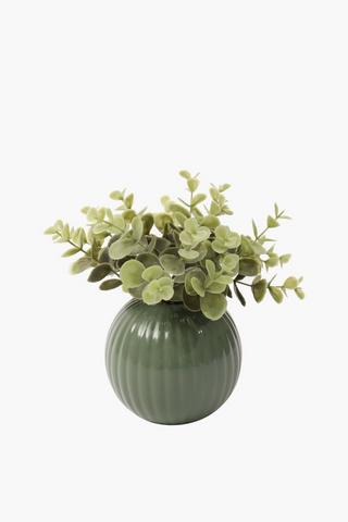 Penny Gum In Ribbed Pot, 10x9cm