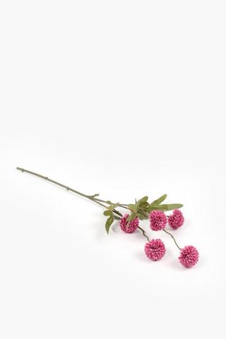 Dandy Single Stem, 52cm