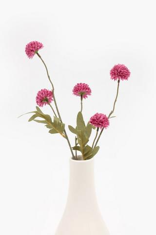 Dandy Single Stem, 52cm