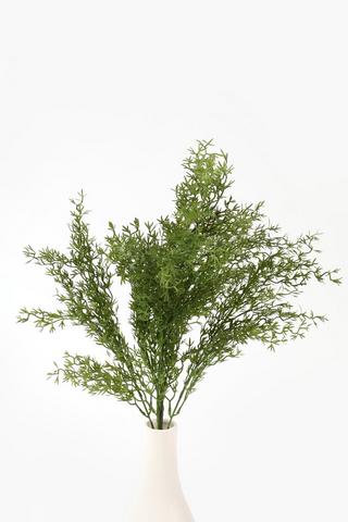 Rosemary Single Stem, 60cm