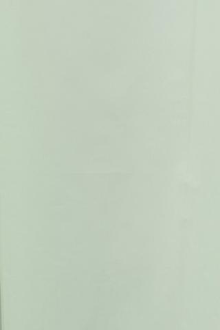 Plain Pvc Shower Curtain