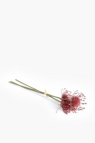 3 Pack Pincushion Single Stem, 50cm