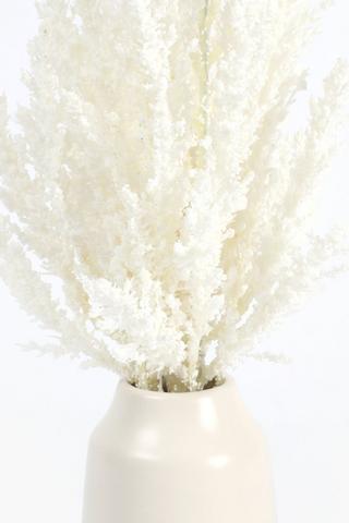 Farmhouse Fern In Long Pot, 9x49cm