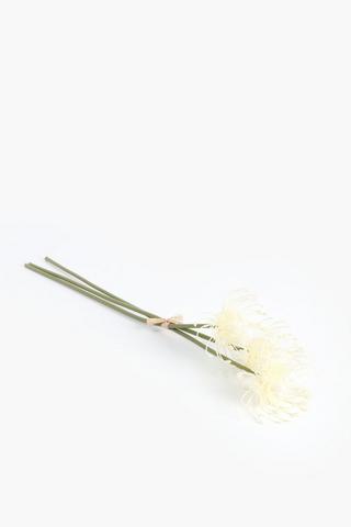 3 Pack Pincushion Single Stem, 50cm