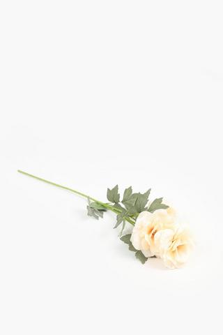 Peony Single Stem, 71cm