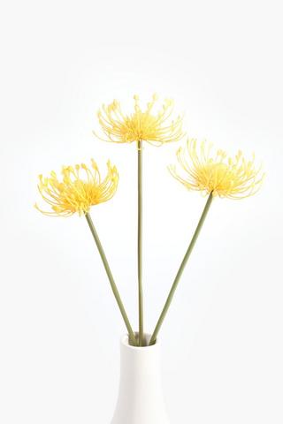 3 Pack Pincushion Single Stem, 50cm
