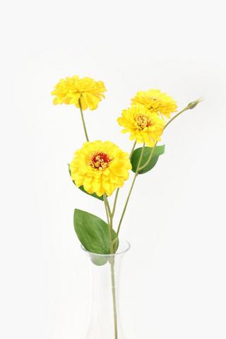 Marigold Single Stem, 54cm