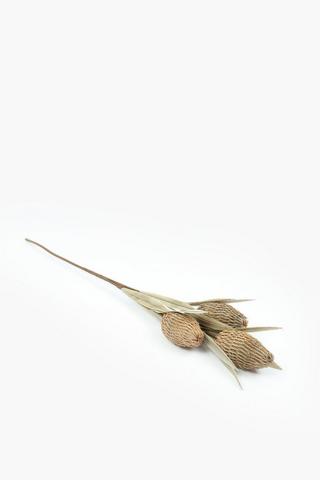 2 Stem Foam Banksia Single Stem, 98cm