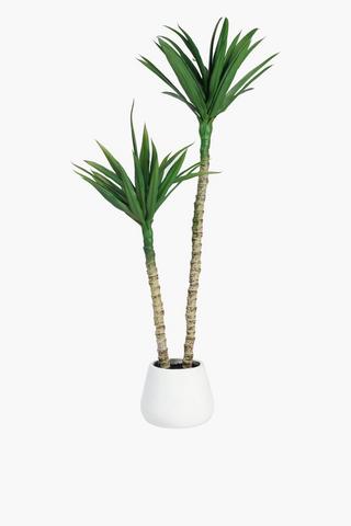 Two Stem Yucca Tree, 100cm