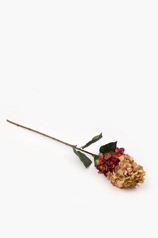 Hydrangea Single Stem, 75cm