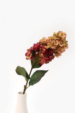 Hydrangea Single Stem, 75cm