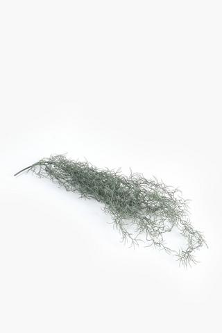 Spanish Moss Single Stem, 80cm