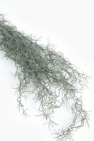 Spanish Moss Single Stem, 80cm