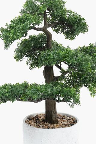Bonsai In Cement Pot, 58cm