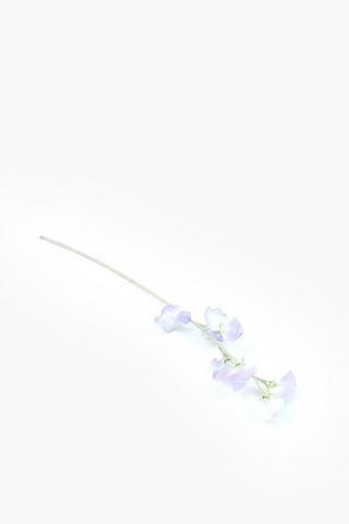 Sweetpea Single Stem, 60cm