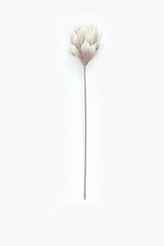 Foam Aloe Single Stem, 92cm
