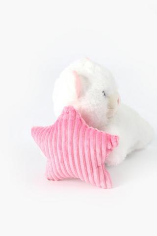 Mini Bear Soft Toy
