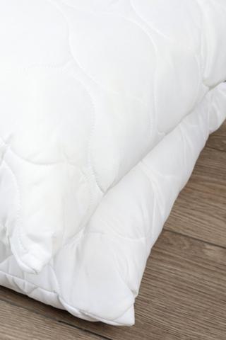 2 Pack Standard Latex Pillows