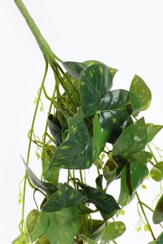 Hanging Vine Greenery Single Stem, 130cm