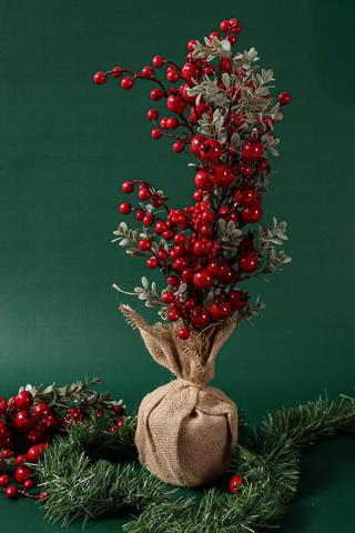 Pomegranate Berry Tree