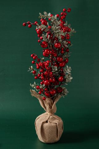 Pomegranate Berry Tree