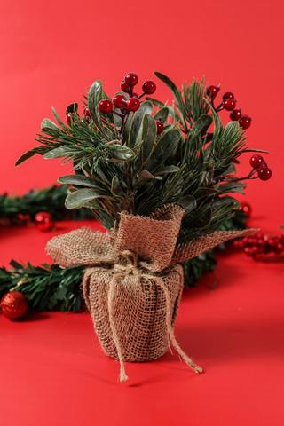 Potted Berries, 9x25cm