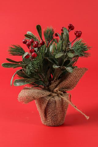 Potted Berries, 9x25cm