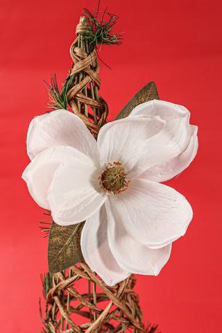 Magnolia Single Clip