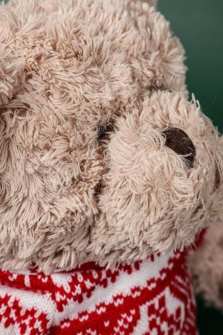 Christmas Teddy Soft Toy