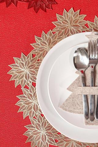 Poinsettia Pvc Placemat