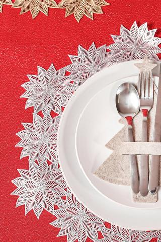Poinsettia Pvc Placemat