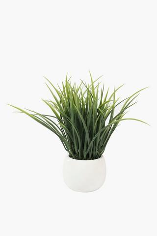 Mini Grass In Ceramic Pot, 7x28cm