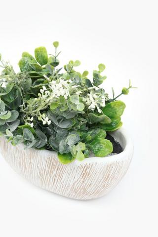 Daisy Bush In Scratch Pot, 21x18cm