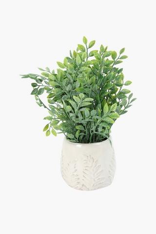 Flat Leaf In Fern Detail Pot, 11x33cm