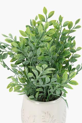 Flat Leaf In Fern Detail Pot, 11x33cm