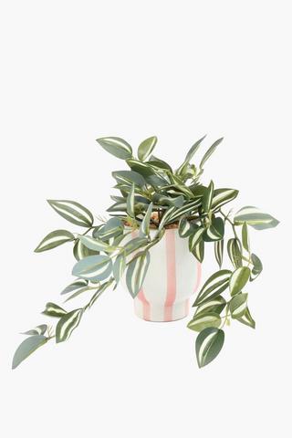 Greenery In Stripe Pot, 11.5x56cm