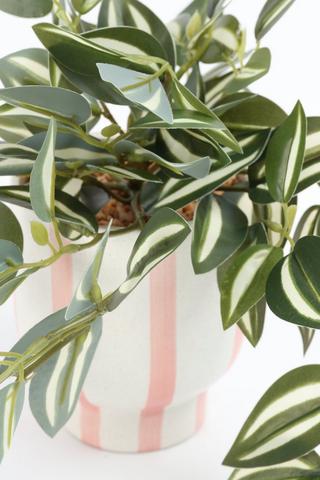 Greenery In Stripe Pot, 11.5x56cm