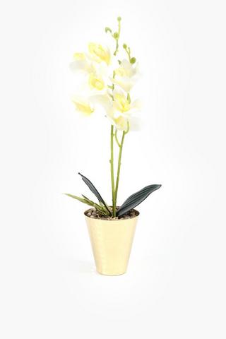 Orchid In Beaten Metal Pot, 9.5x39cm