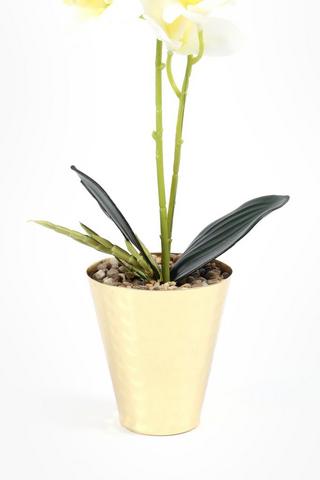 Orchid In Beaten Metal Pot, 9.5x39cm