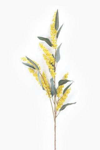 Flowering Eucalyptus Single Stem, 110cm