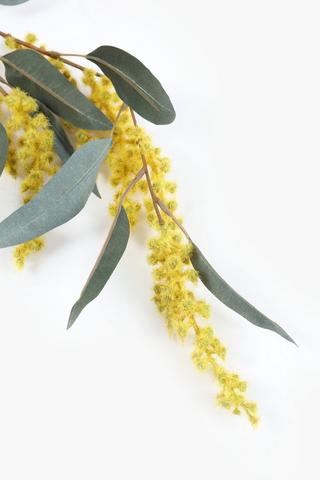Flowering Eucalyptus Single Stem, 110cm