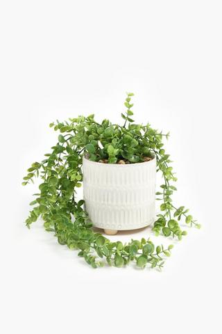 Trailing Greenery In Embossed Pot, 21x14cm