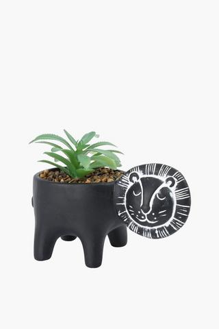 Agave In Lion Pot, 17x14.5cm