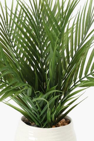 Palm In Organic Wave Pot, 15x44cm