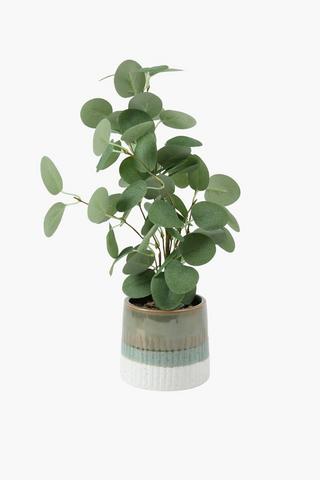 Gum Leaf In Two Tone Pot, 10.5x36cm
