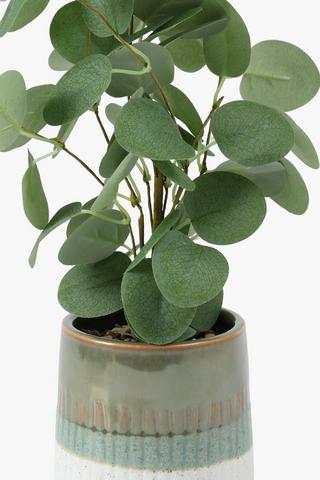 Gum Leaf In Two Tone Pot, 10.5x36cm
